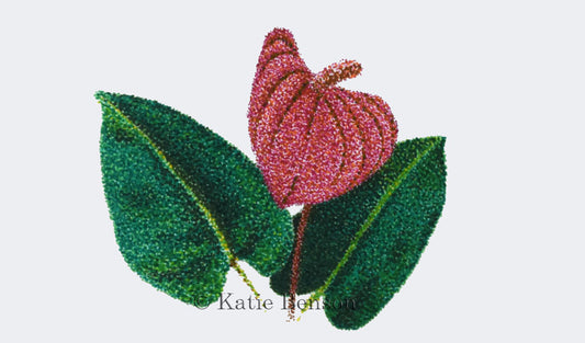 ORIGINAL Miniature Anthurium Ink Drawing