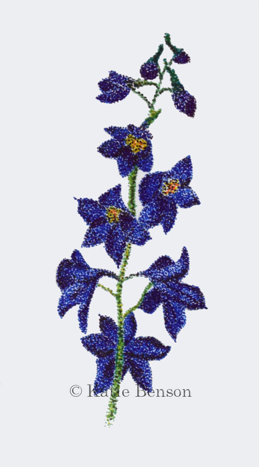 ORIGINAL Miniature Delphinium Ink Drawing