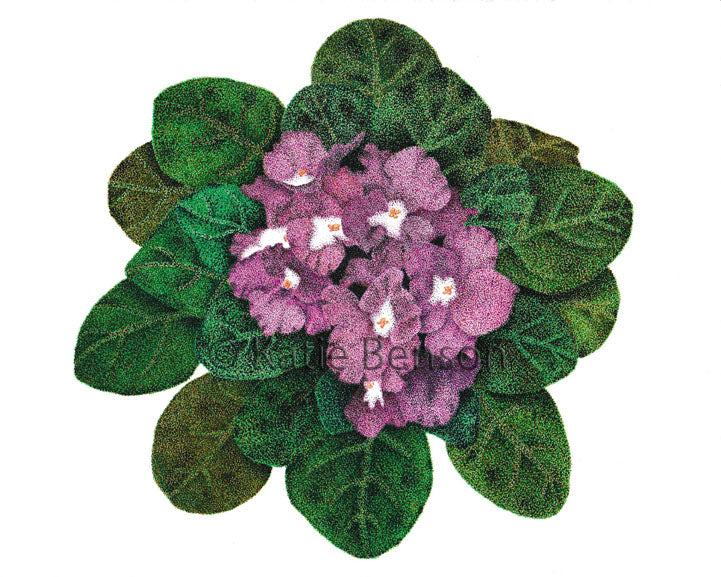 African Violets Giclee