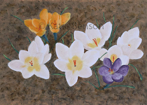 Crocus Giclee