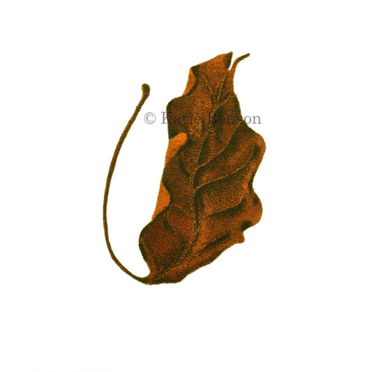 Dead Leaf #1