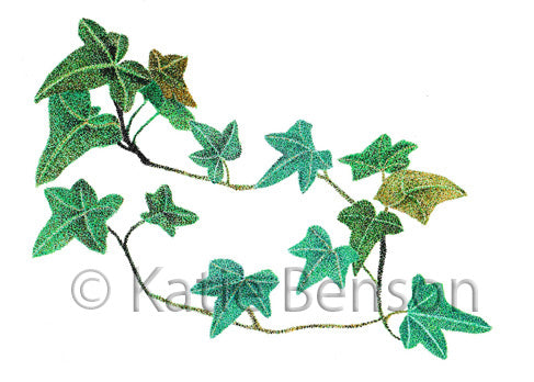 English Ivy Giclee