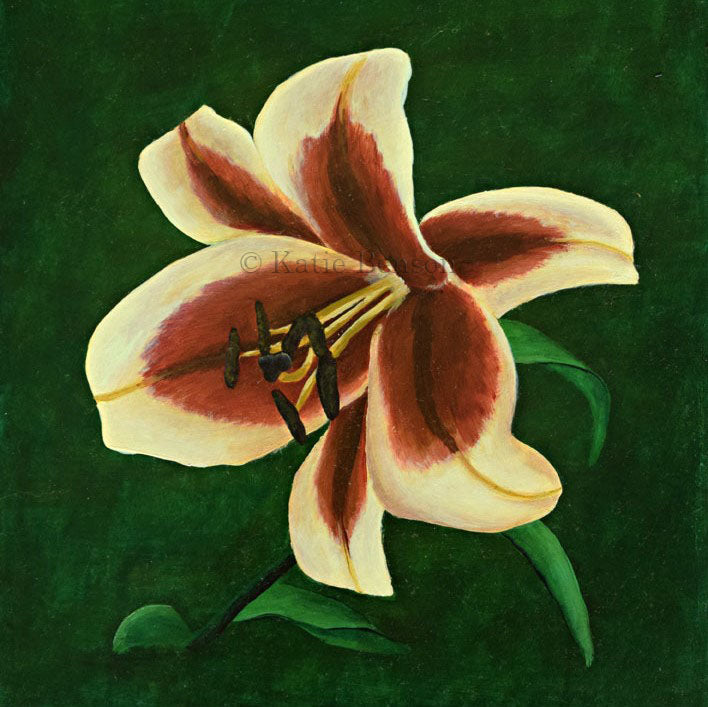 Lily Giclee