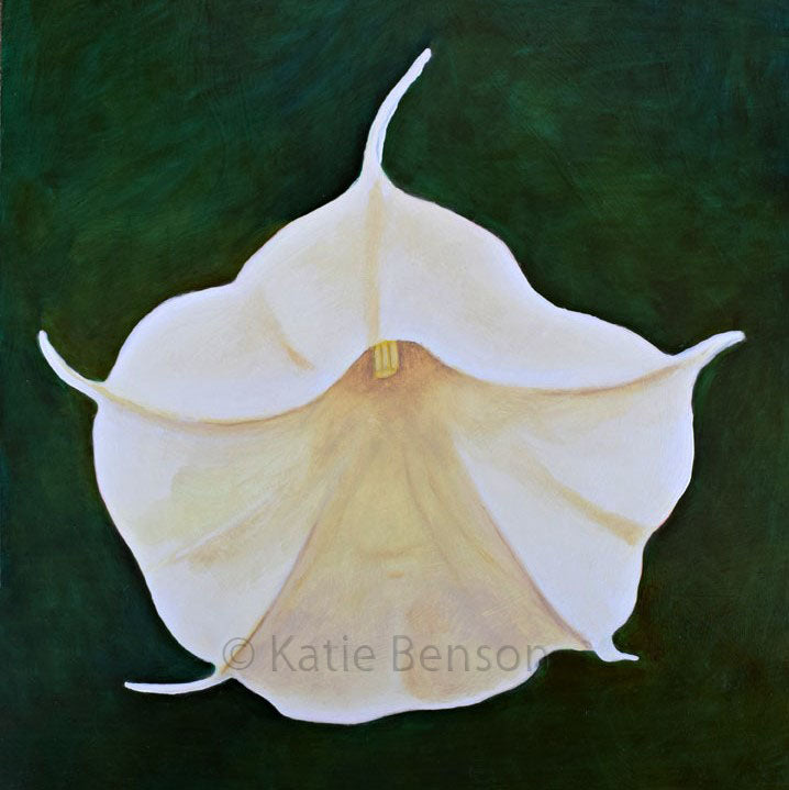 Morning Glory Giclee