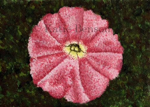 Pink Petunia Giclee
